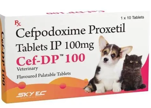cefpodoxime proxetil for dogs cefpodoxime proxetil for dogs