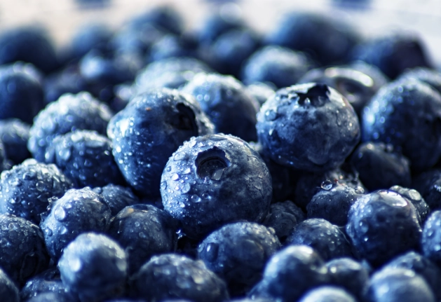 can dogs eat blueberries