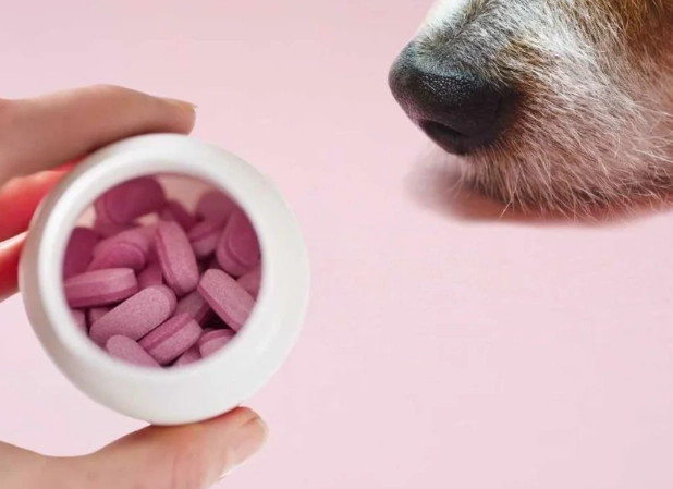 can dogs take benadryl