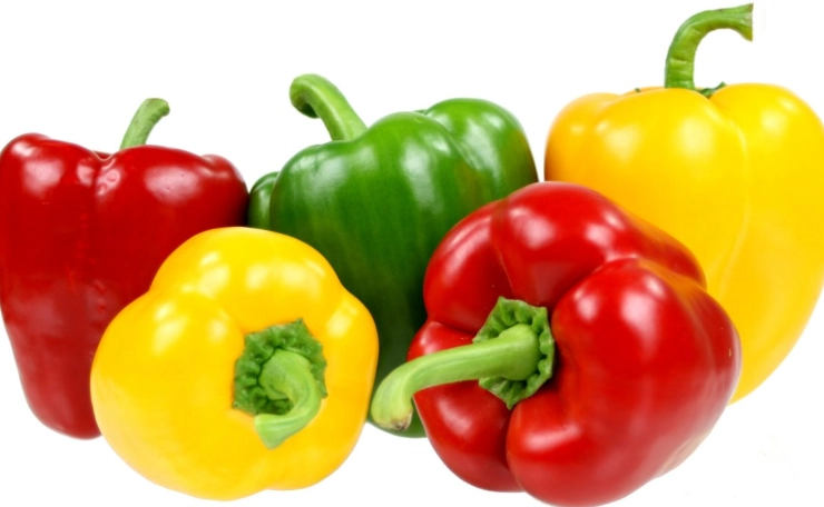 are bell peppers safe for dogs are bell peppers safe for dogs