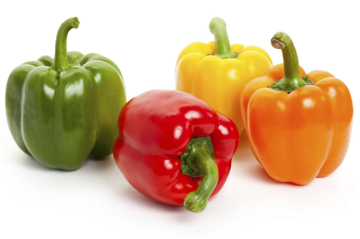 feeding bell peppers to dogs feeding bell peppers to dogs