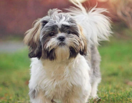 Seven Military Classics