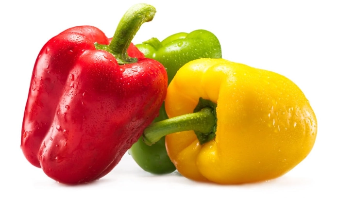 feeding bell peppers to dogs feeding bell peppers to dogs