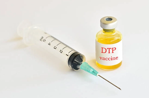 bordetella vaccine for dogs