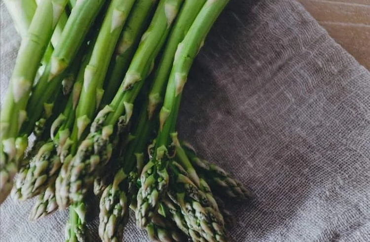 can dogs eat asparagus
