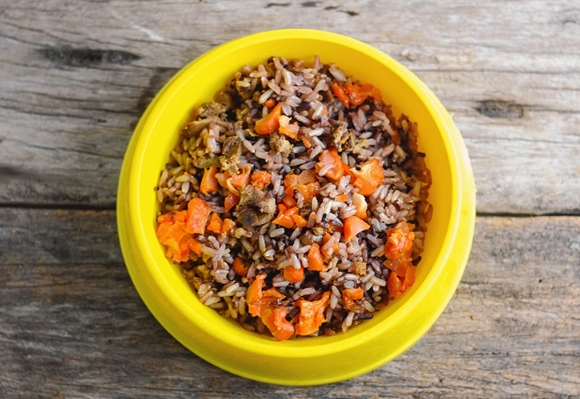 feeding rice to dogs feeding rice to dogs