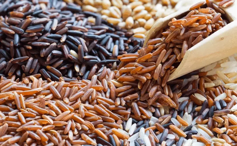 feeding rice to dogs feeding rice to dogs