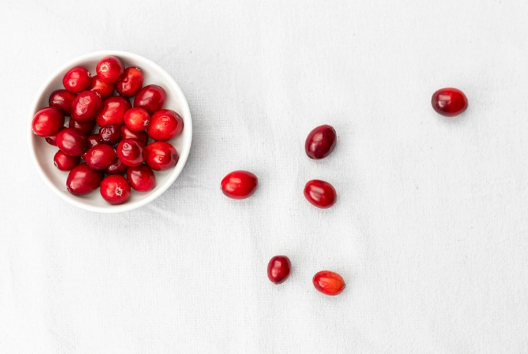 cranberries for dogs