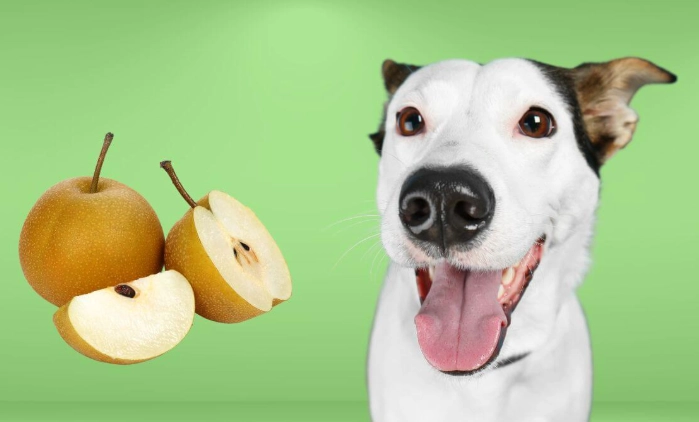can dogs eat pears