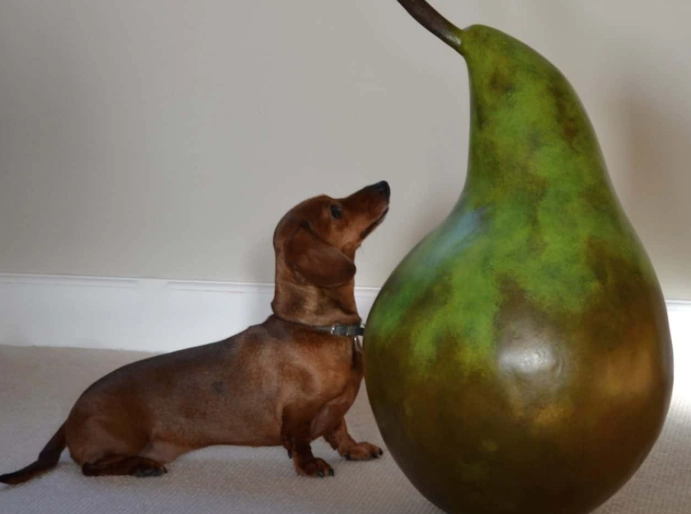 pears for dogs