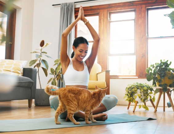 aromatherapy for pets