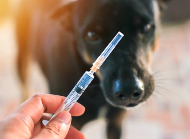 dhpp vaccine schedule