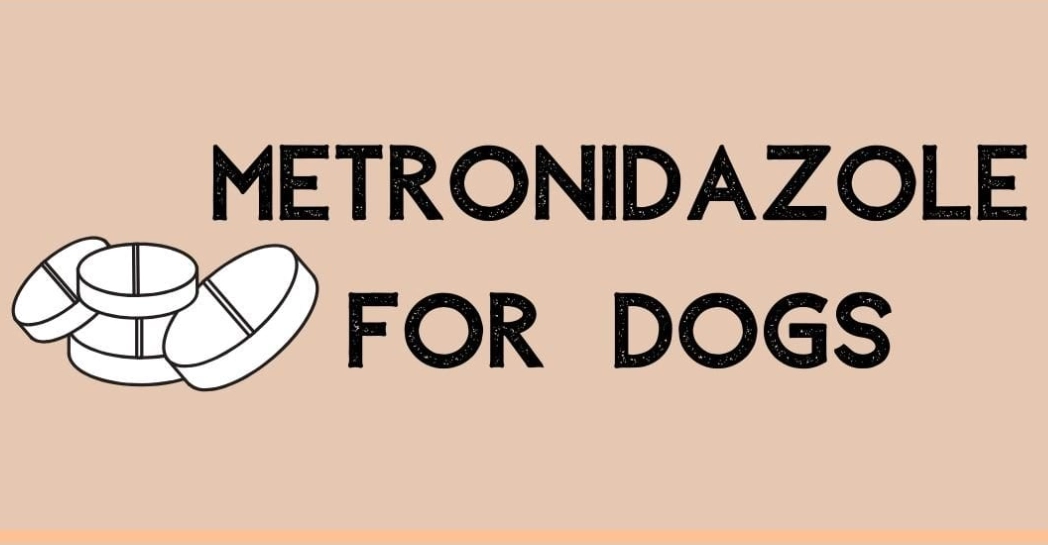 metronidazole dosage for dogs