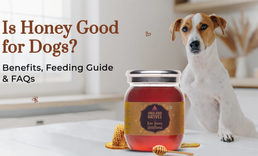 honey for dogs