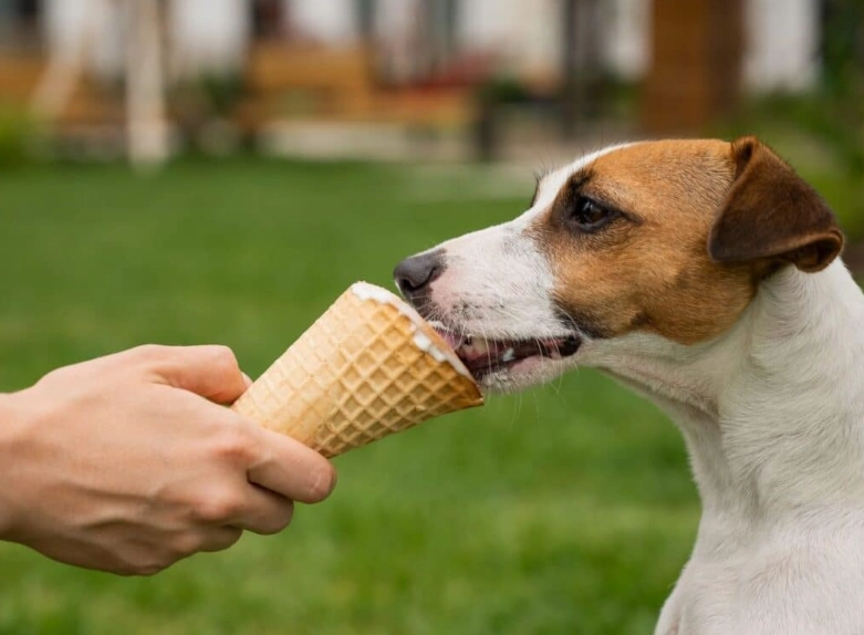 ice cream for dogs safe