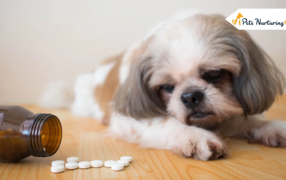 metronidazole dosage for dogs