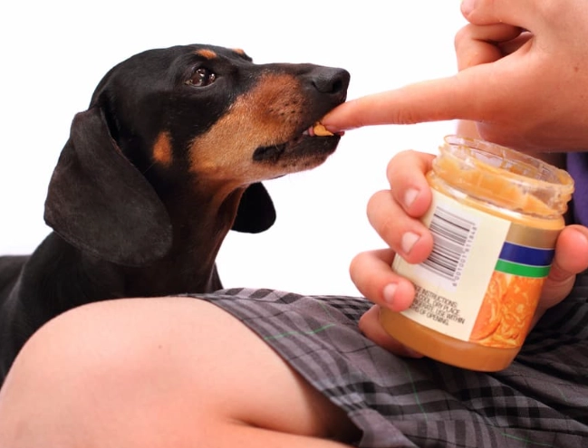 is peanut butter good for dogs