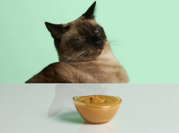is peanut butter safe for cats