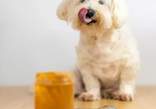 xylitol in peanut butter