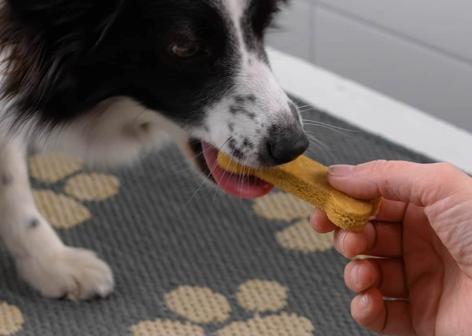 can dogs eat potatoes