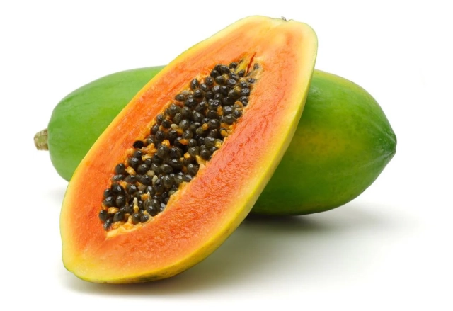is papaya safe for dogs