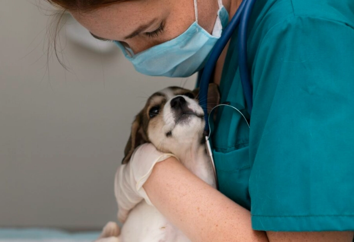 can i give my dog aspirin