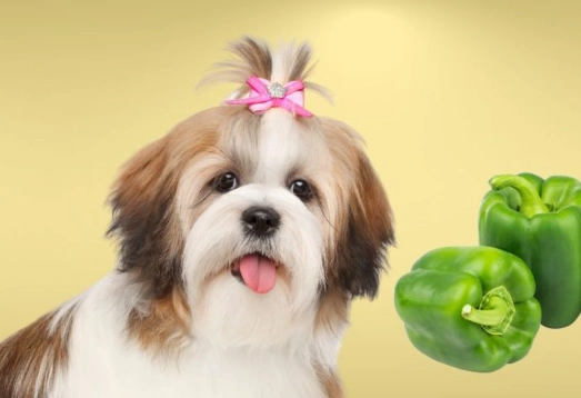 green peppers for dogs