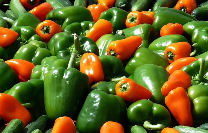 dogs eat bell peppers