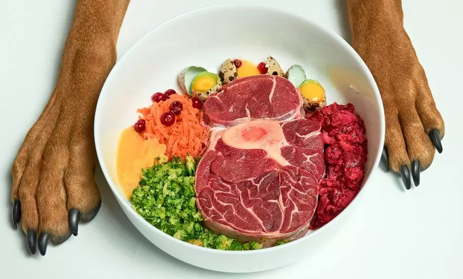 feeding dogs raw food