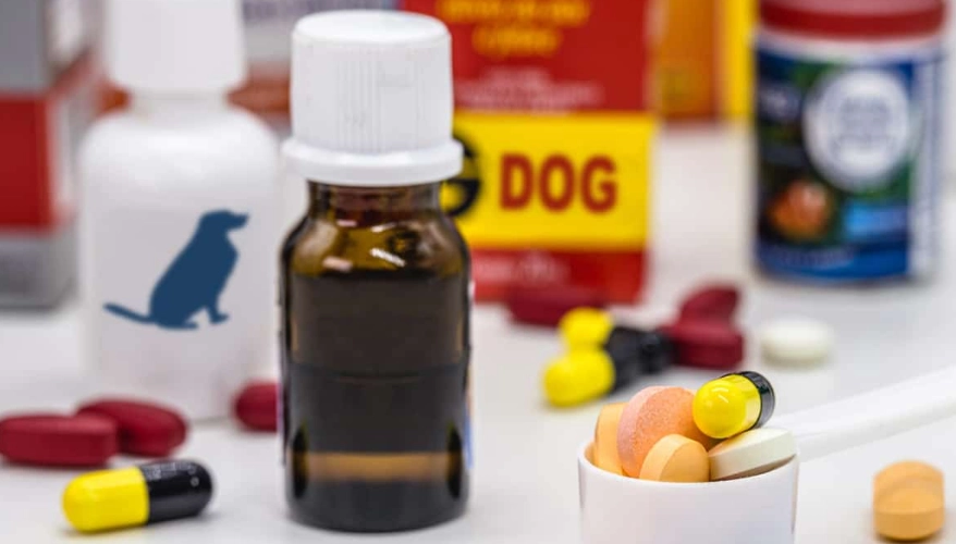 dog anxiety medication dog anxiety medication