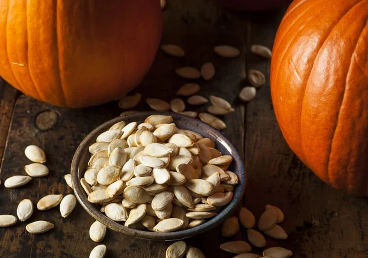 can dogs eat pumpkin seeds