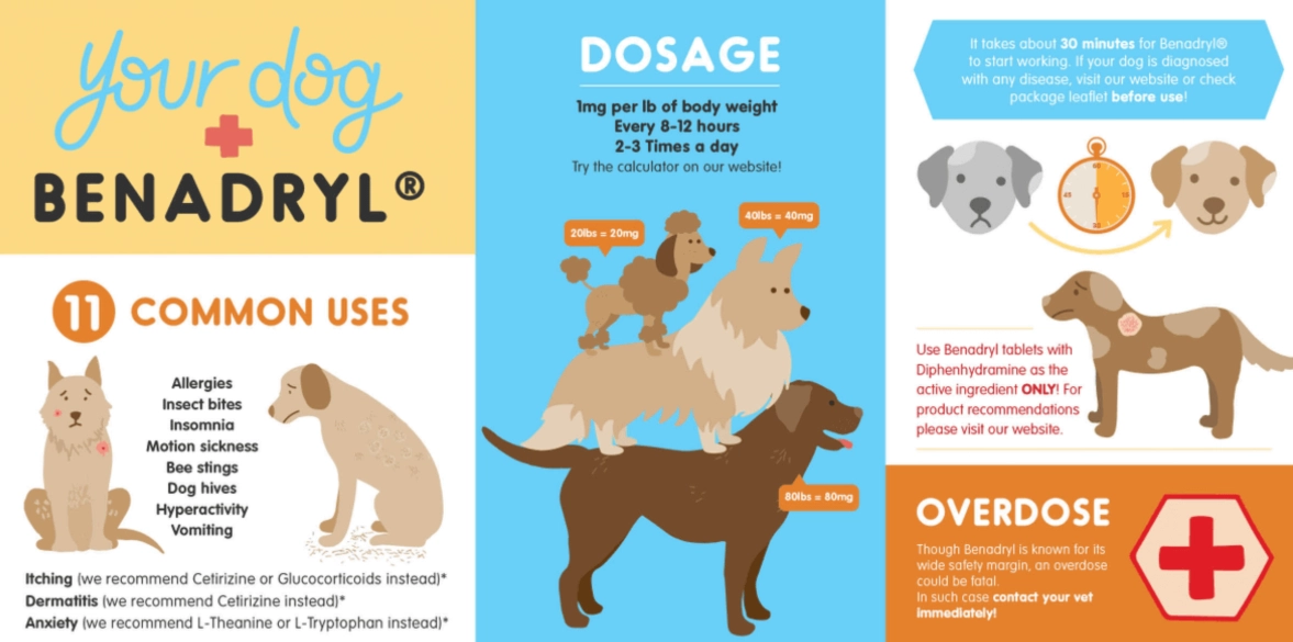 benadryl dosage for dogs