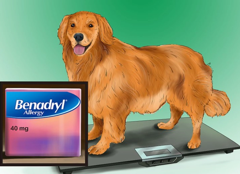 benadryl for dogs allergies