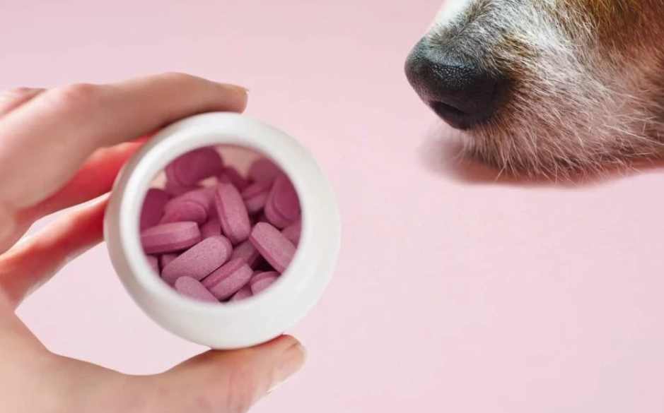 can dogs take benadryl