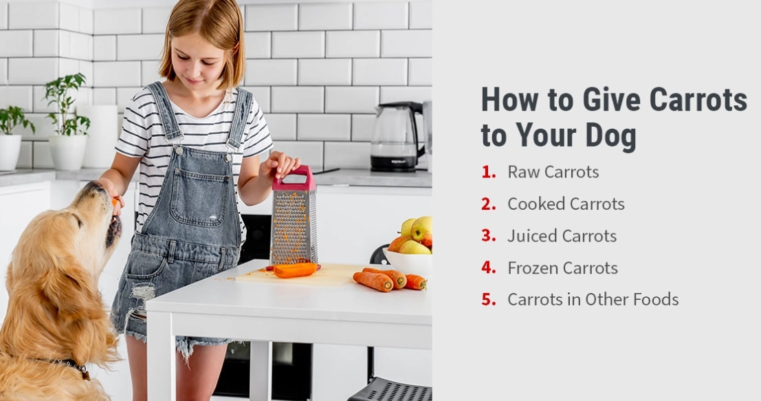 how to feed carrots to dogs