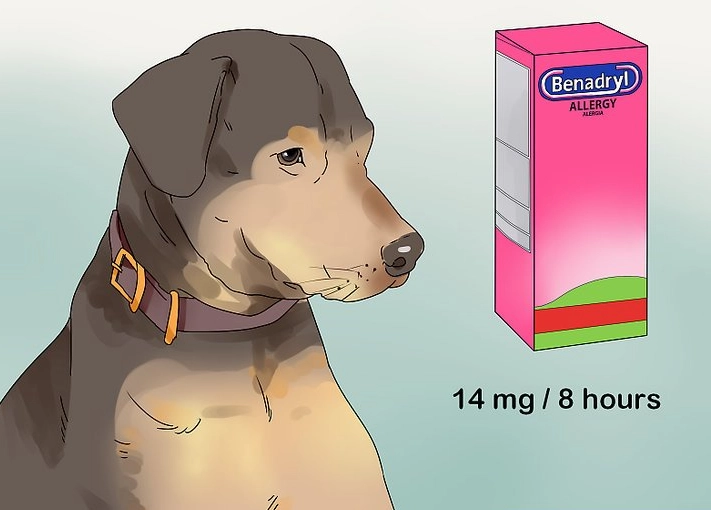 diphenhydramine for dogs