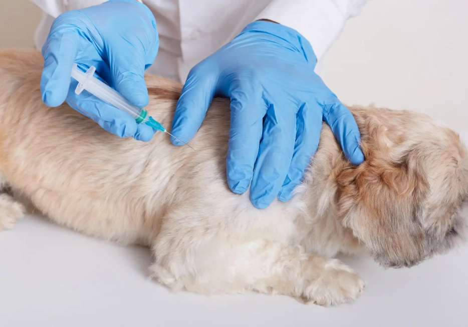 core vaccines for dogs