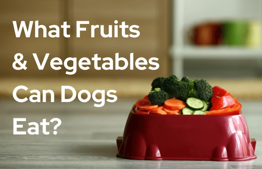 dog-friendly vegetables