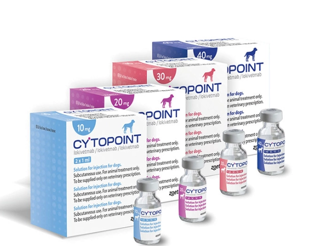 canine atopic dermatitis treatment