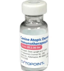dog allergy shot