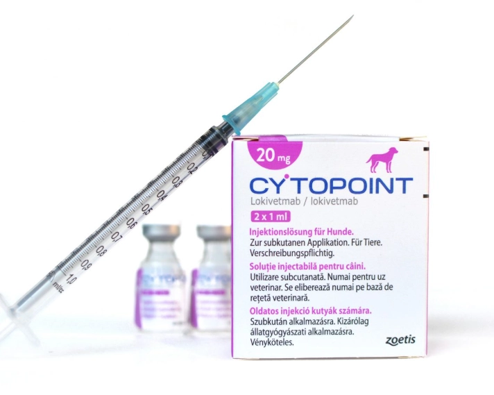 canine atopic dermatitis treatment