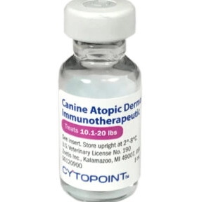 canine atopic dermatitis treatment