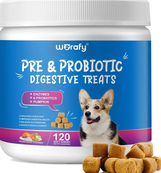 probiotics for dogs side effects probiotics for dogs side effects