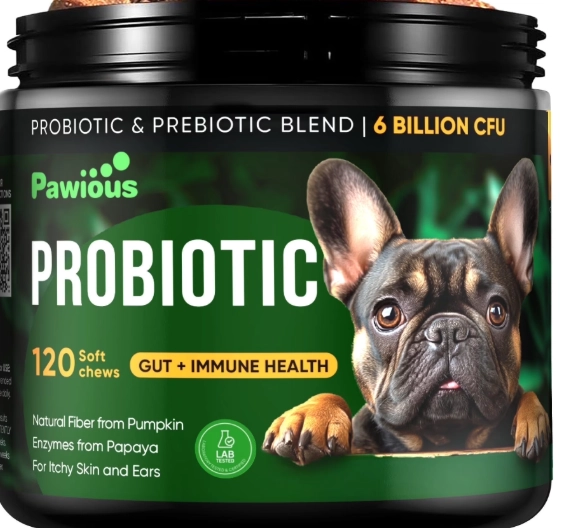 dog probiotics benefits dog probiotics benefits