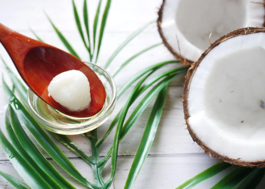 how to give coconut oil to dogs